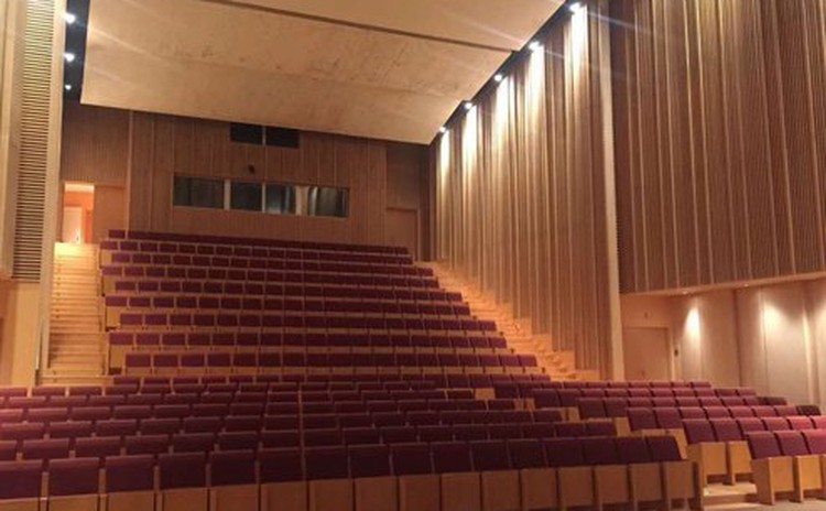 四川遂寧文化中心吸音板聲學工程